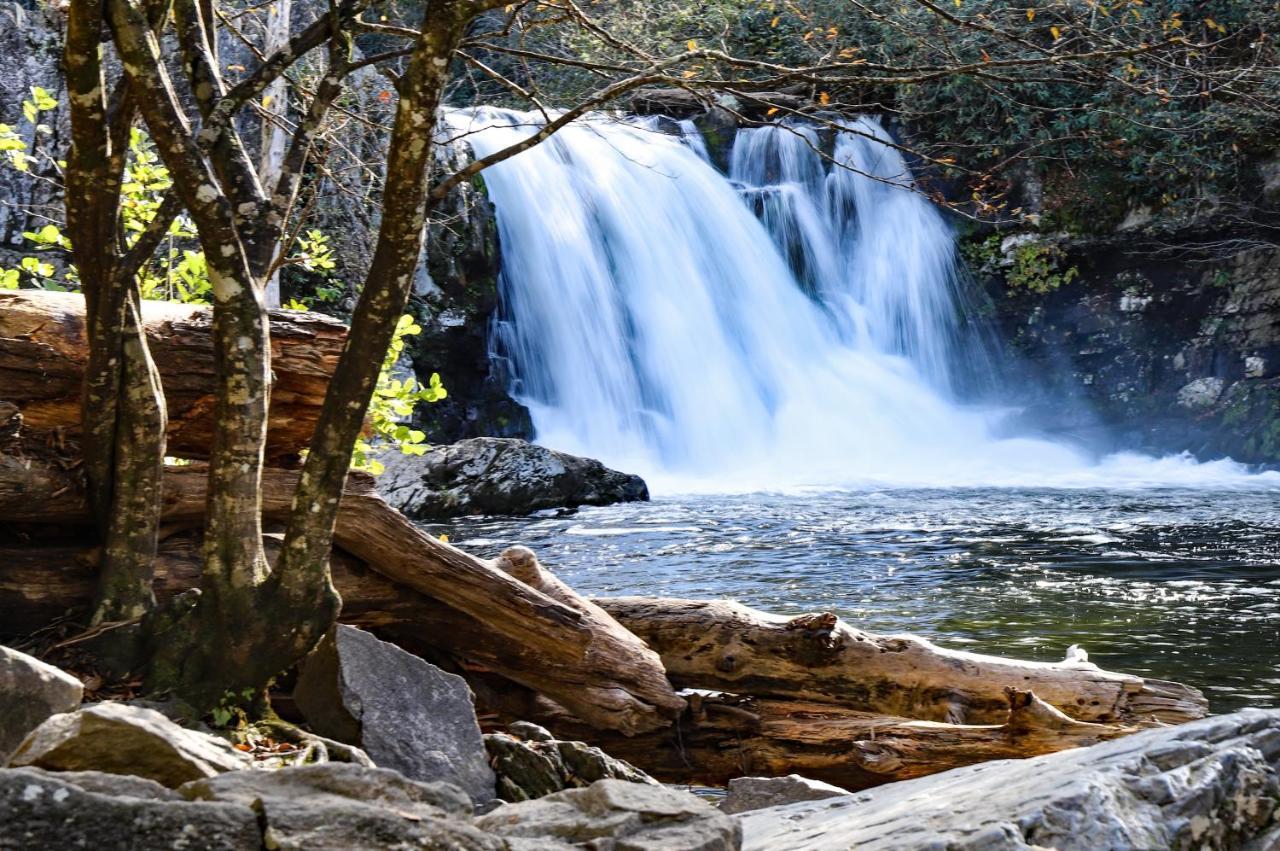 Nature'S Paradise セバービル エクステリア 写真